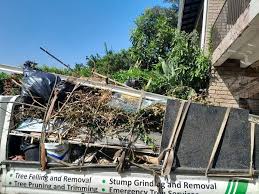 Best Attic Cleanout  in Seabrook, TX